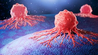 E' in barriere invisibili che proteggono cancro la nuova sfida della ricerca