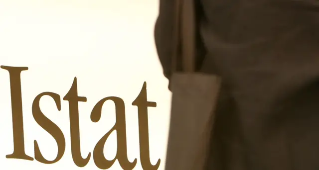 P.a: Istat,3,4 milioni i dipendenti, 1,3 in enti locali