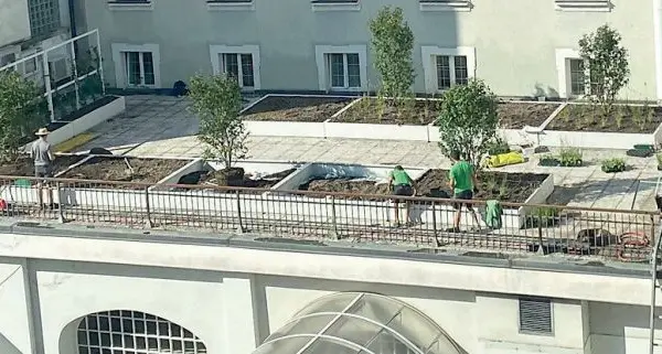 A Bolzano, aiuole e alberi sopra i tetti per combattere la canicola
