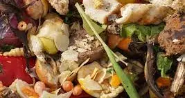 Alto Adige, ogni anno quasi 28 chili di cibo a testa finisce nei rifiuti