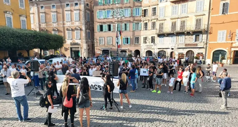 Anagni, capretta uccisa a calci nell’agriturismo: identificati 12 ragazzi