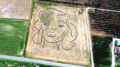Il volto di Marilyn Monroe disegnato su un campo nel Veronese