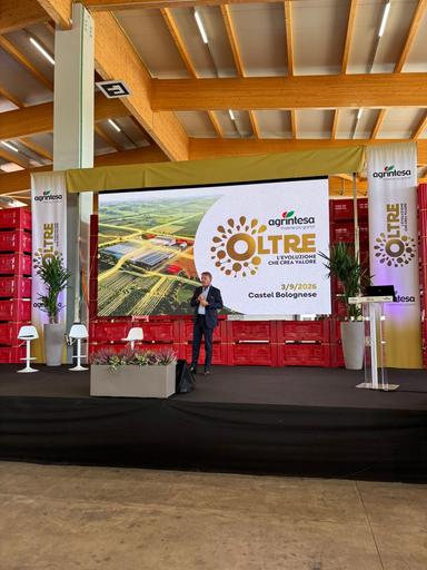 Agrintesa rinnova impianto, nel Ravennate nuovo polo europeo del kiwi