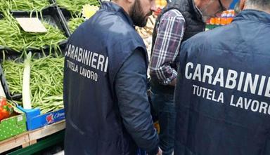 Braccianti in nero e irregolari nel Bolognese, tre aziende sospese