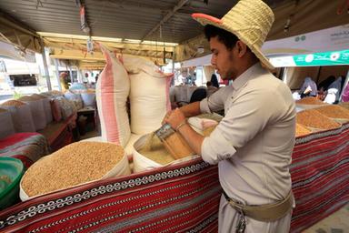 Fao, al via Forum mondiale dell'alimentazione 2026, "Innovare oggi. Nutrire il domani"