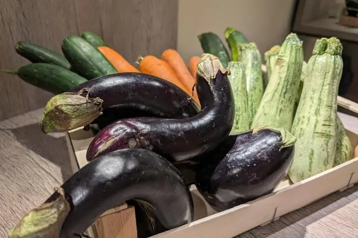 Legge antispreco in 10 anni salva 3,7 milioni di tonnellate di cibo
