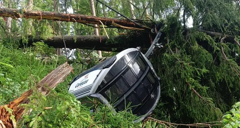 Carezza: Alberi su cabinovia, nessun ferito