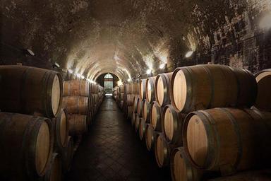 Uiv, torna a crescere vino italiano negli Stati Uniti
