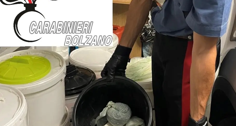 Laives, i carabinieri con i cani sequestrano un chilo di marijuana in un garage