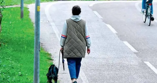 Dna dei cani, scatta il conto alla rovescia per le multe
