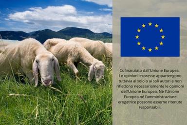 Confagricoltura, 'urge adeguato riconoscimento delle pratiche locali tradizionali'