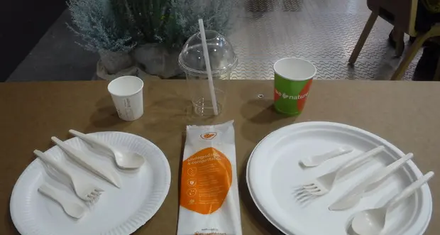 Le stoviglie di carta monouso sono più green delle lavabili
