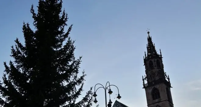 In piazza Walther è arrivato l’albero di Natale