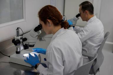 Il ruolo cruciale dell'intestino nelle malattie neurodegenerative