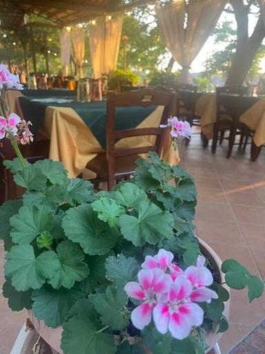 Da avvocato mancato alla riscoperta di ricette cilentane, la scommessa di Anna Maria