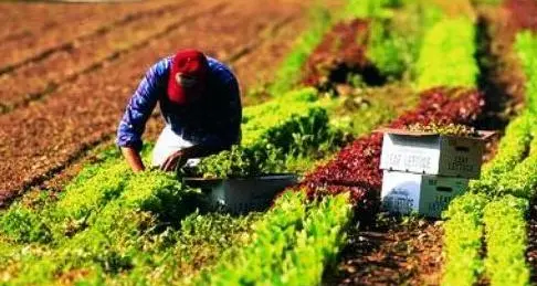 Dalla Regione 500 euro all'anno per previdenza coltivatori diretti