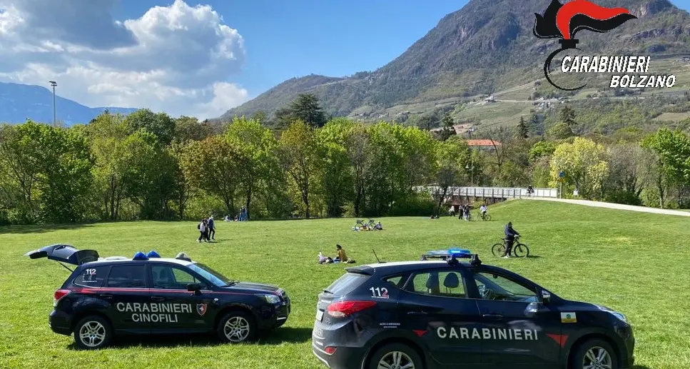 Festa con assembramento al lido di Caldaro: sanzionate 20 persone