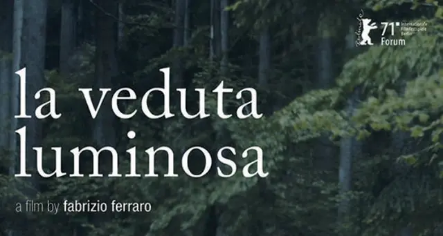 Berlino: Nella foresta nera inseguendo Hölderlin