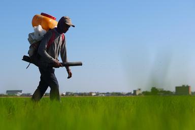Dall'Ue nuovi aiuti per gli agricoltori contro il caro prezzi dei fertilizzanti