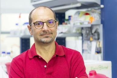 Nuovo modello di IA open source traduce il Dna per la medicina di precisione