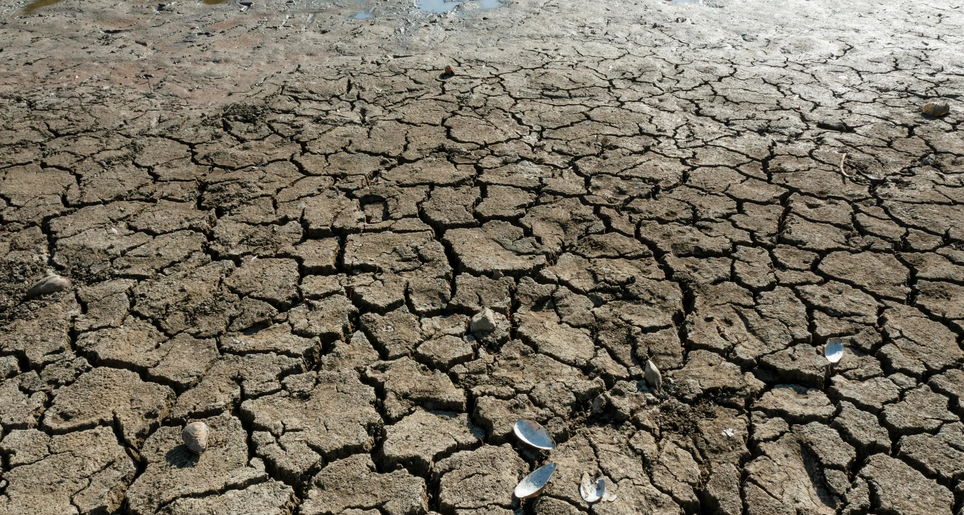 Clima, Copernicus: è stato il giugno più caldo di sempre