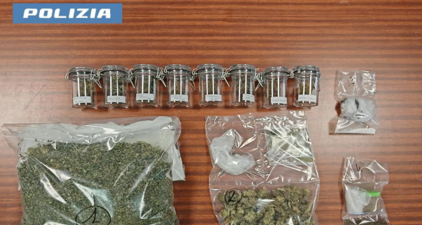Aveva trasformato un appartamento in una piantagione di marijuana: cuoco in manette
