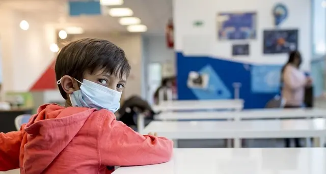 Infanzia:29,3% non sa scaricare file da piattaforma scuola