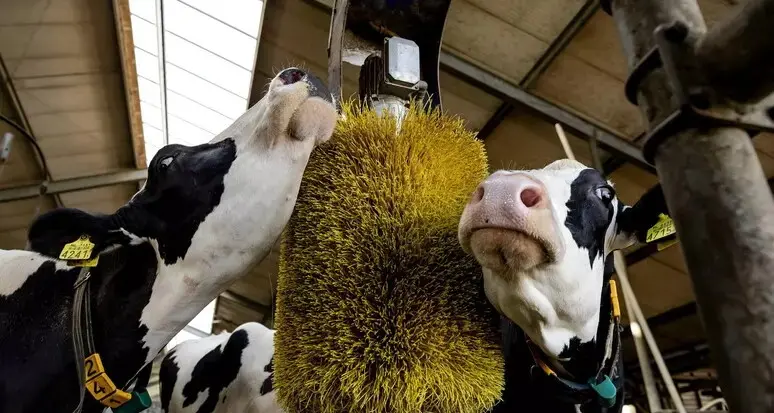 Latterie Alto Adige, stabile la quantità conferita ma calano gli allevatori: 138 in meno