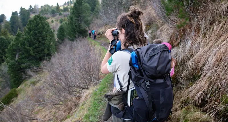 Ventidue ranger per i parchi naturali altoatesini