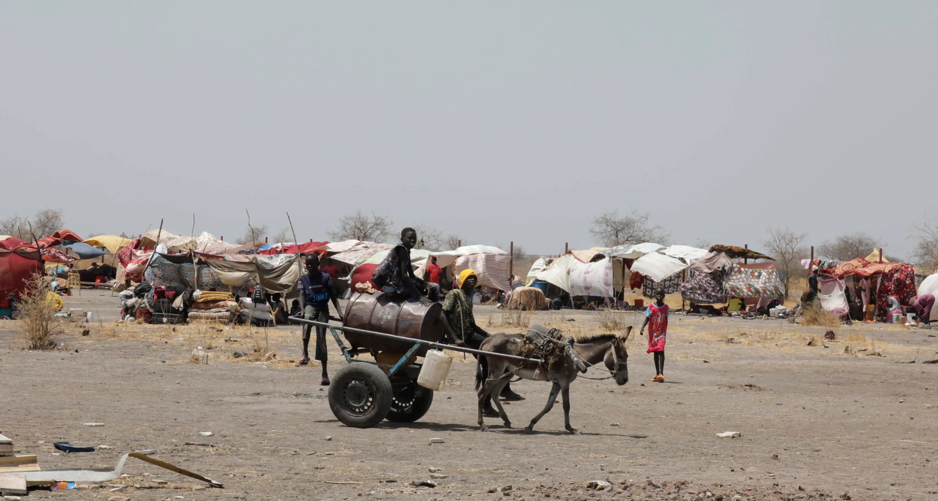 Sudan: paramilitari Rsf attaccano villaggio, 'almeno 40 morti'