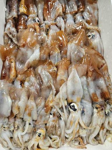 Effetto caldo al mercato, poca verdura a foglia e totani in saldo (-18,3%)