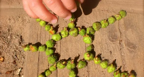 L’asilo nel bosco di Naturno si amplia: spazio a un nuovo gruppo di gioco