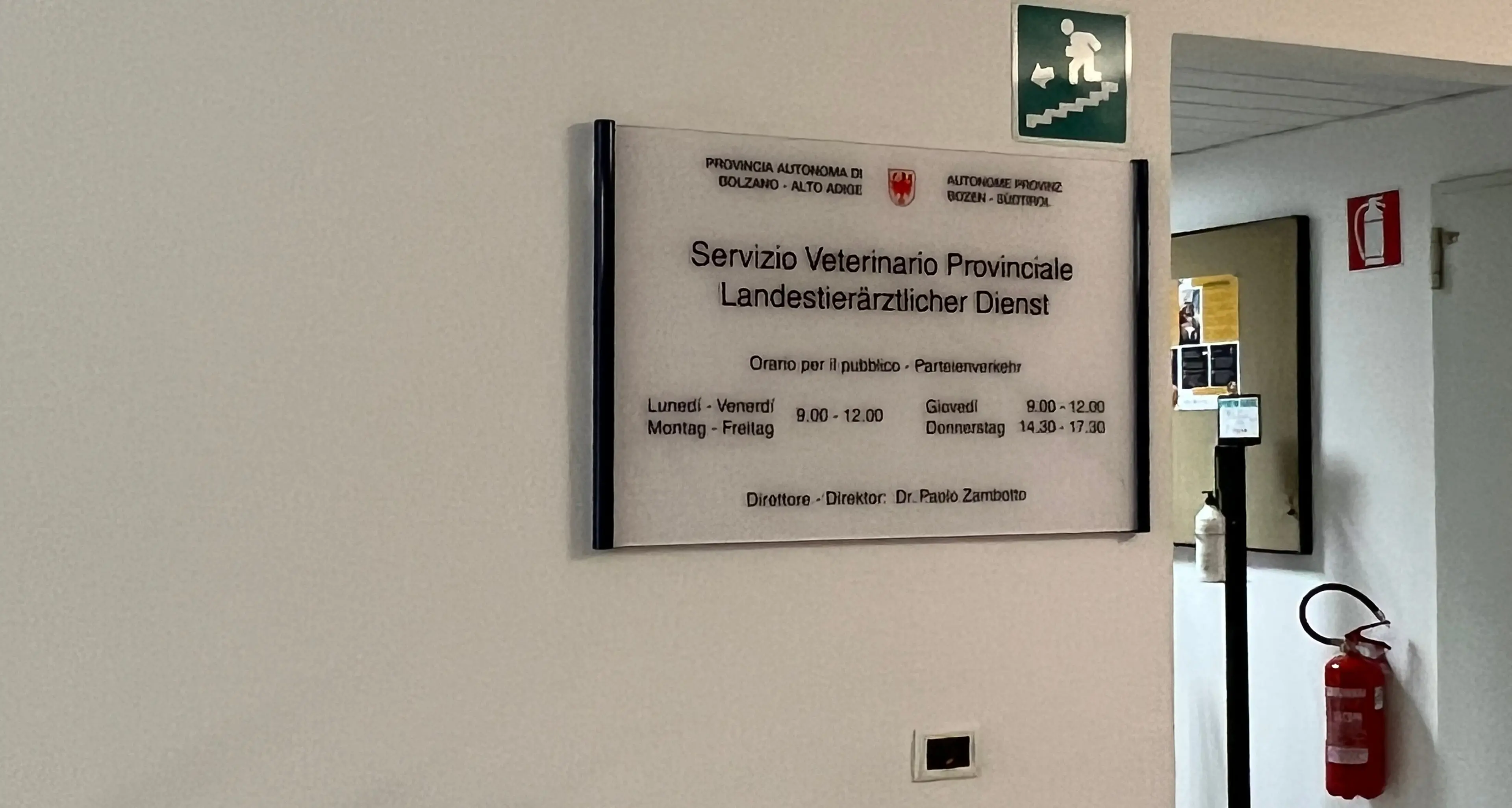 Lingua blu sul Renon: tre vitelli risultati positivi alla febbre catarrale