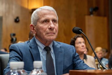 Il Senato Usa dichiara Fauci colpevole di oltraggio al Congresso