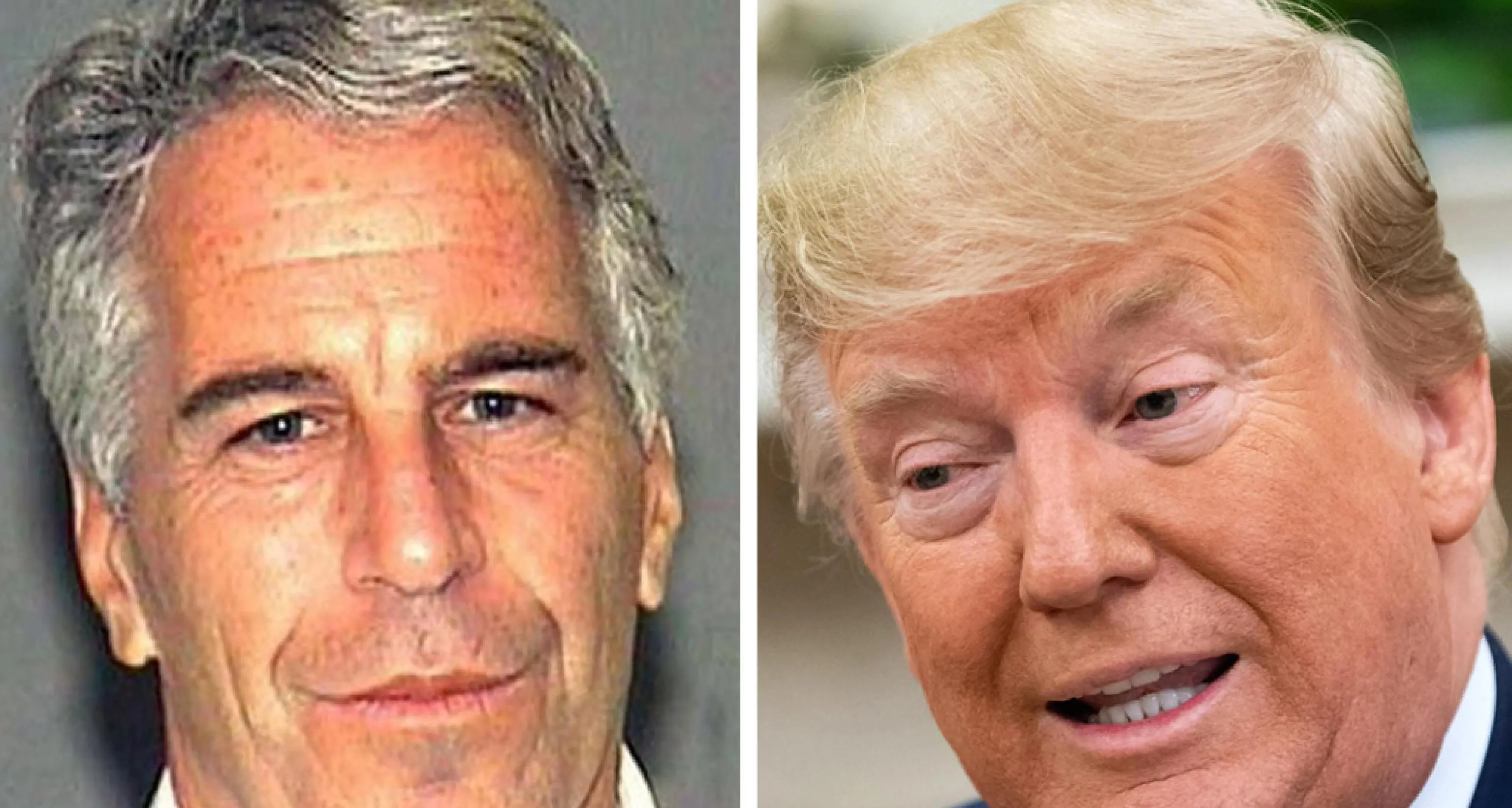 Epstein: 'Trump una cattiva persona, nessuna cellula decente nel suo corpo'