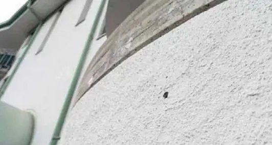Colpi di pistola a Bolzano: l’ipotesi è di un atto di intimidazione