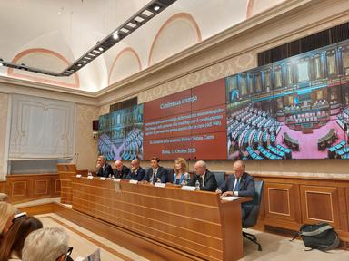 Schillaci, 'malattie reumatologiche interessano 10 milioni di italiani'