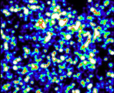 Molecole fluorescenti mostrano come il Dna si ripiega nelle cellule