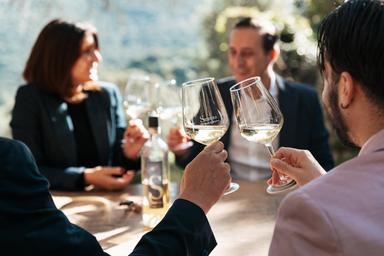 Vendemmia parte bene, ma serbatoi cantine ancora pieni di giacenze