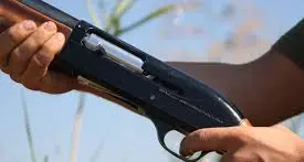 Detenzione illecita di un’arma da fuoco, un uomo di Bressanone denunciato