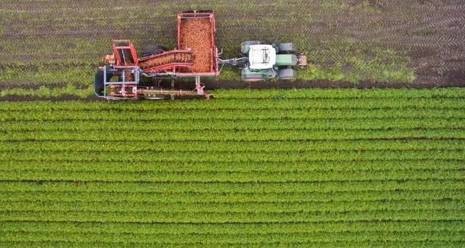 Schuler, dobbiamo puntare sempre più sui prodotti locali