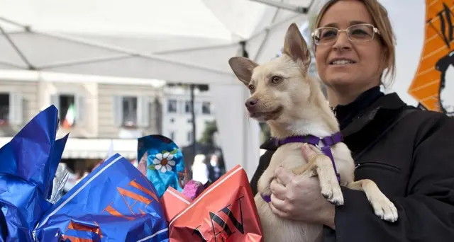 Milleproroghe: ok sperimentazione su animali fino al 2025