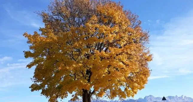 Meteo e Alto Adige: è stato un ottobre soleggiato ma più freddo