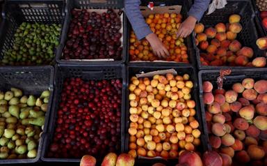 Più know-how scientifico nell'agroalimentare, accordo Confagricoltura-Tecnologi Otan-Agronetwork