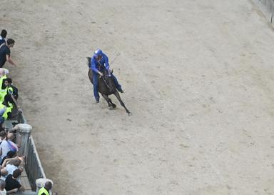 Palio Siena, vince la contrada del Nicchio