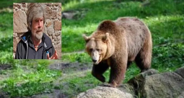 Messner: «Gli orsi in Trentino? Sono diventati troppi. Abbatterli quando sono pericolosi»
