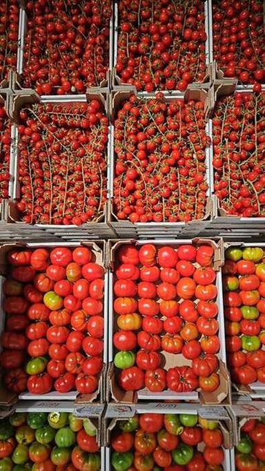 Estate al mercato, boom di pomodori e prezzi in calo dell'8,4% in un anno