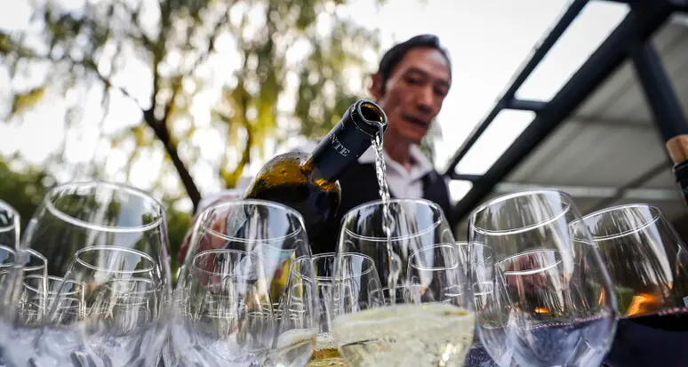 Vino: +10% di prodotto da inizio mese per Pinot Grigio