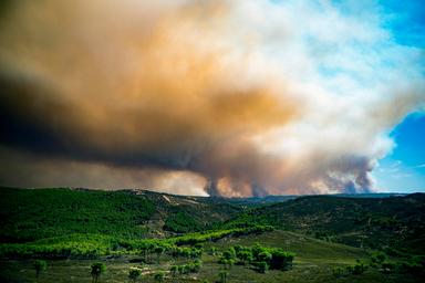 Evacuate oltre 400 persone a Huelva in Spagna per un incendio boschivo