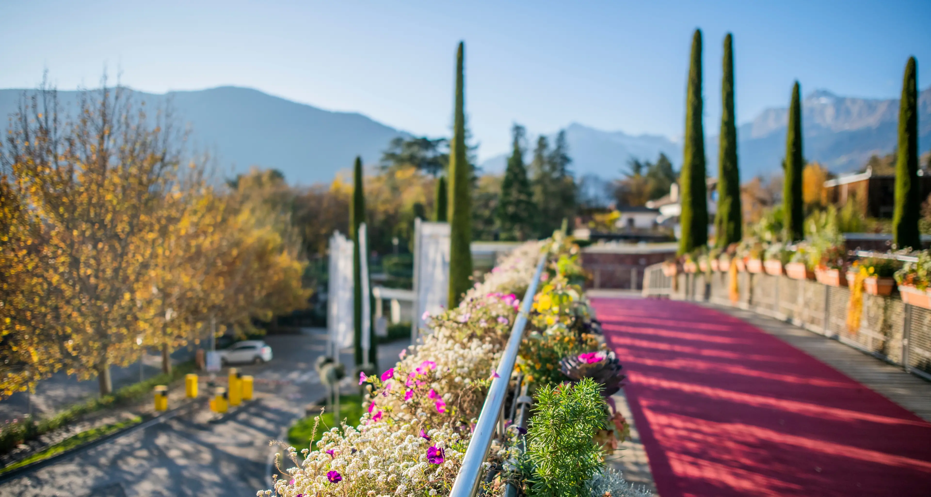 Giardini Trauttmansdorff, 400 mila visitatori: e per la prima volta vivranno anche d’inverno